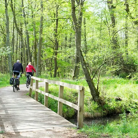 Seeadler - Gemuetliches Mit Balkon & Panoramablick Auf Mueritz *