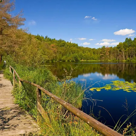 公寓 Seeadler - Gemuetliches Mit Balkon & Panoramablick Auf Mueritz 瓦伦